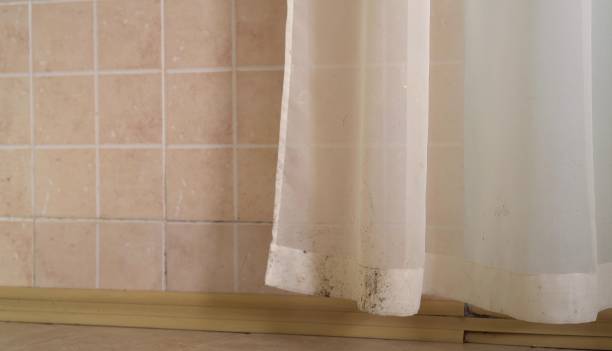 Best HVAC Mold Inspection and Cleaning  in Proctor, MN