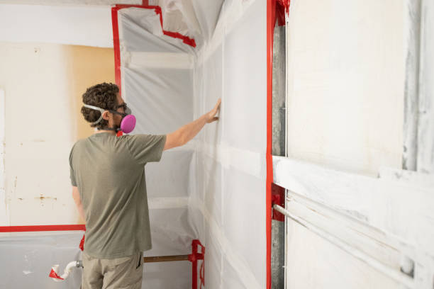 Reliable Proctor, MN Mold Removal Solutions