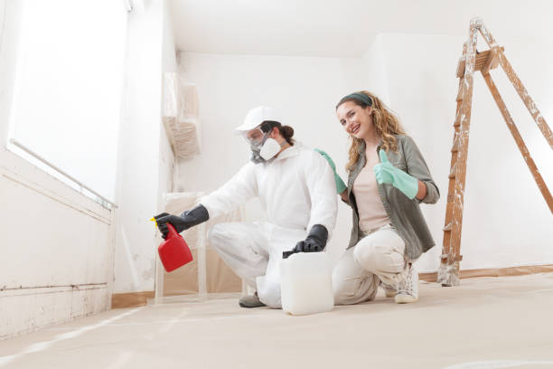 Best Mold Damage Restoration  in Proctor, MN
