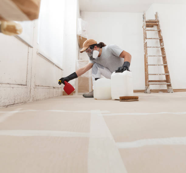 Best Environmental Consulting for Mold Prevention  in Proctor, MN